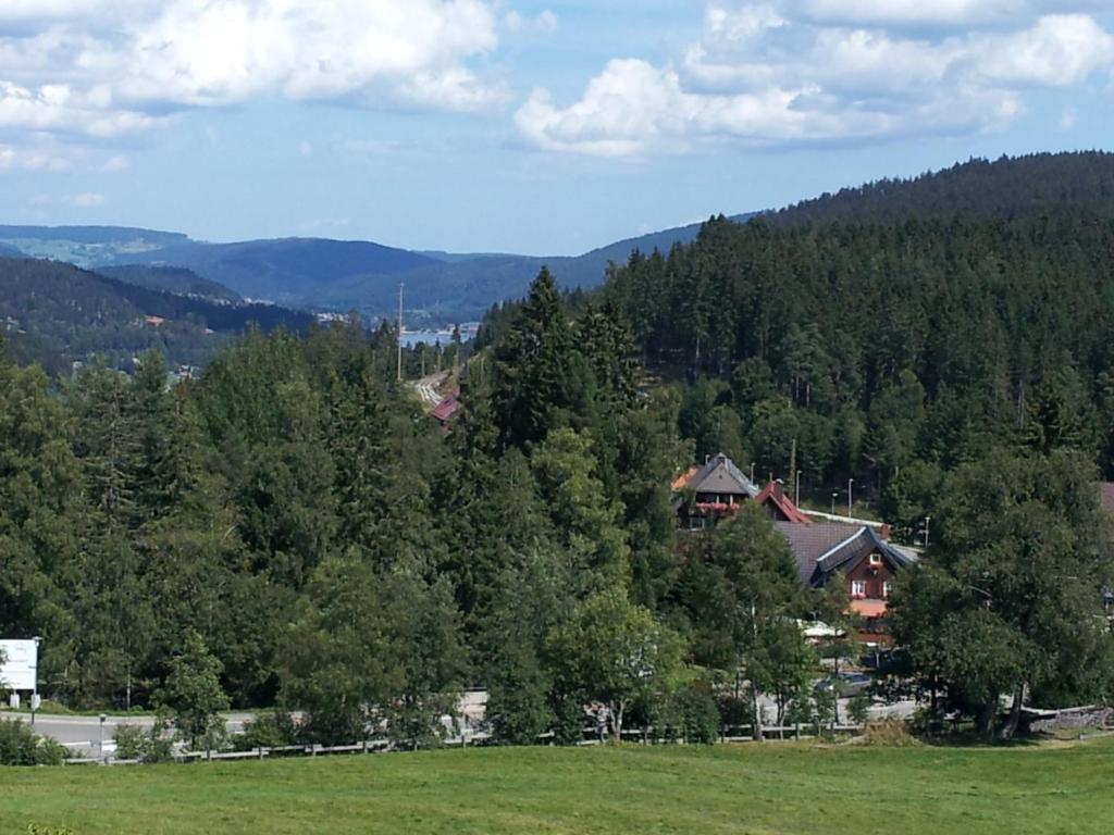 Schwarzwald-Chalet Feldberg Feldberg  Buitenkant foto